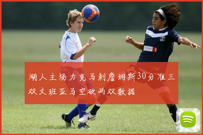 湖人主场力克马刺詹姆斯30分准三双文班亚马空砍两双数据